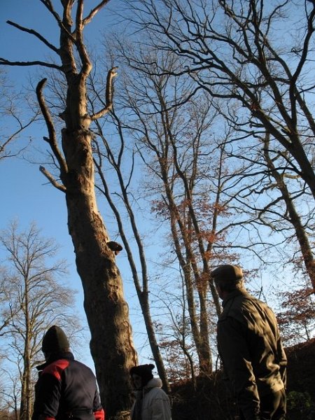 2007 11 Etangs de Hollande 08